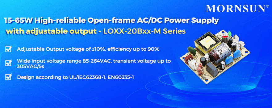 Seria LOXX-20DBxx-M typu open frame